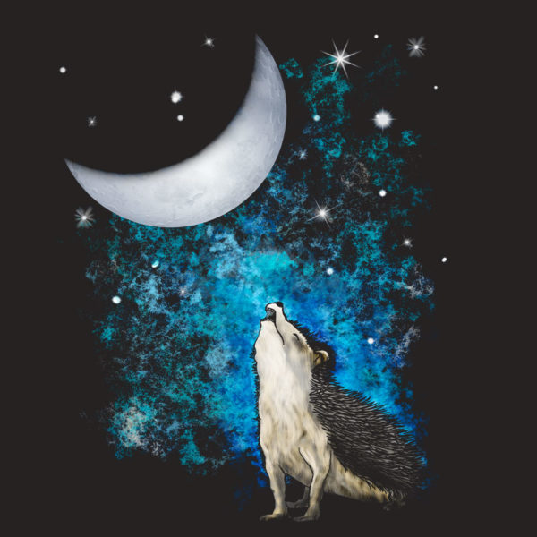 original drawing of wild hedgehog howling at the moon