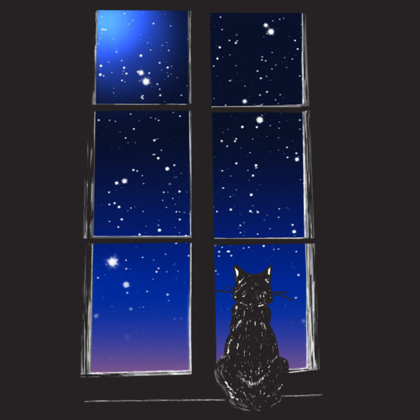Closeup of graphic black tshirt with drawing of a cat staring at the sky